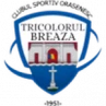 Tricolorul Breaza