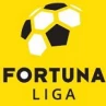 1. liga