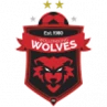 Wollongong Wolves
