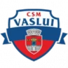 CSM Vaslui