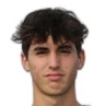 Luca Barani