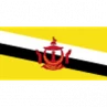 Brunei U17