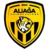 Aliaga