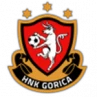 Gori