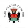 Pulpileno