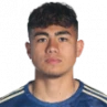 N. Martinez