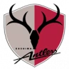 Kashima Antlers