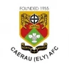 Caerau Ely