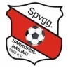 Hankofen-Hailing