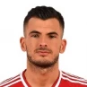 Szilveszter Hangya