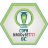Copa Santa Catarina