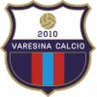 Varesina
