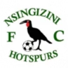 Nsingizini Hotspurs