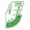 Pelikan