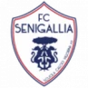 Vigor Senigallia