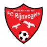 Rijnvogels