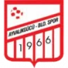 Ayvalikgucu