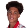 Axel Witsel