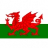 Wales U19