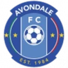 Avondale FC
