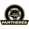 Pantheres