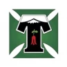 Deportes Temuco