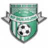 Dukagjini