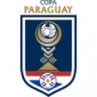 Copa Paraguay - Quarter-finals