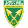 Golden Arrows