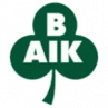 Bergnasets