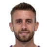 Milan Majer