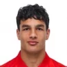 Adem Avdic