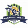 Marumo Gallants