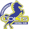 Cumbernauld Colts