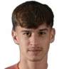 Bogdan Mircetic