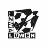 VV Zwaluwen