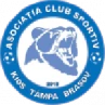 Kids Tampa Brasov