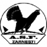 Olimpic Zarnesti