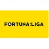 Czech Liga
