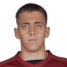 Nikola Grujic