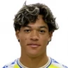 F. Castillo