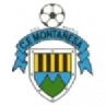 Montanesa