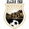 FC Gareji Sagarejo