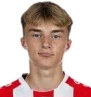K. Potulski